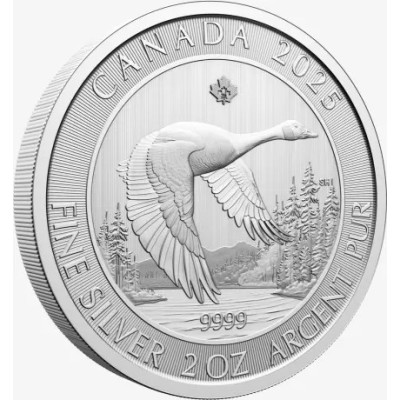 Goose - 2 Oz - Silver Investment Coin