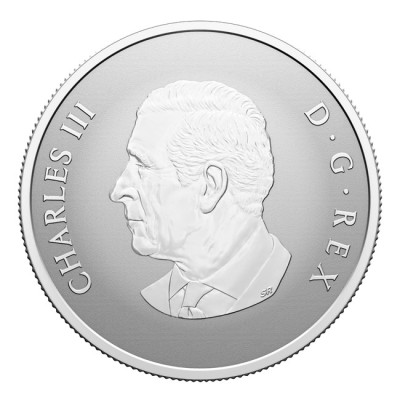 "Willkommen in der Welt" 2025 - 1/2 oz - Silber Geschenkmünze