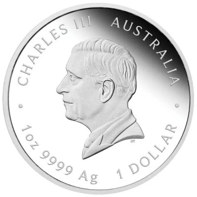 "One Love" 2025 - 1 Oz - pièce cadeau en argent