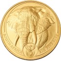 Big Five Elephant (2025) - 1 Oz - moneta d'oro da investimento