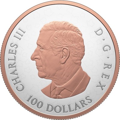 Foglie d'acero splendenti - Moneta d'argento da collezione da 10 once (consegna 12.6.2025)