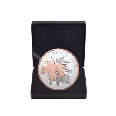 Foglie d'acero splendenti - Moneta d'argento da collezione da 10 once (consegna 12.6.2025)