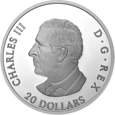 Moon Sky : Corbeau- 1 Oz - Pièce de collection en argent