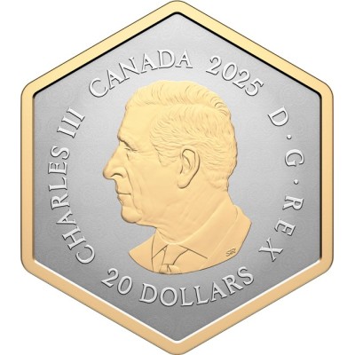 Abeille - 1 Oz - Pièce de collection en argent