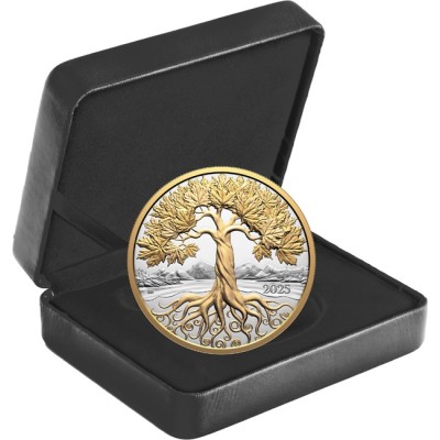 Acero - albero della Vita - Moneta da collezione da 5 Oz - Prova d'Argento