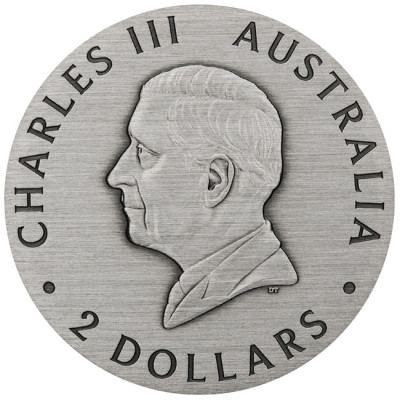 Biene (2025) - 2 oz - Silber Sammlermünze