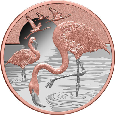Flamingo (2025) - 1 Oz - Moneda de Plata de Colección