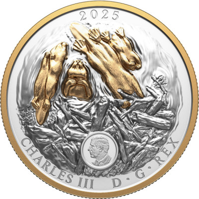 Il Castoro (2025) - 100g - moneta d'argento da collezione (consegna 24.9.2025)