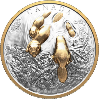El Castor (2025) - 100g - moneda de colección de plata (entrega 24.9.2025)