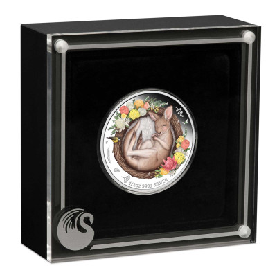 Baby Kangaroo (2021) - Moneta d'argento da collezione da 1/2 Oz.
