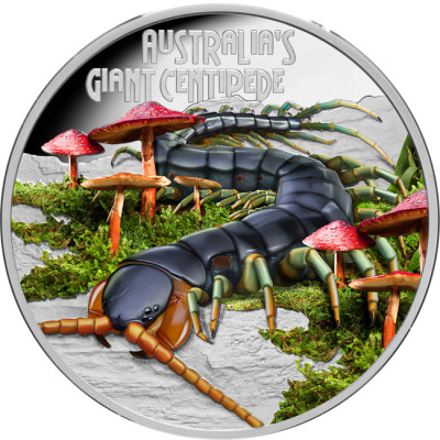 Riesiger Tausendfüßler (2026) - 1 oz - Silber Proof Sammlermünze