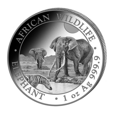 Eléphant d'Afrique (2026) - 1 Oz - Pièce d'investissement en argent