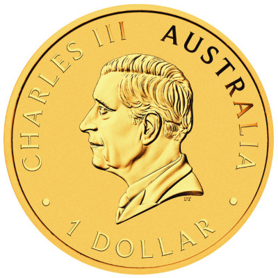 Australian Nugget - 1 oz - Silber Proof Gold-Plated Coin