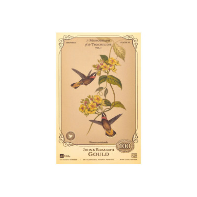Kolekcja Johna i Elizabeth Gould - Kolibry
