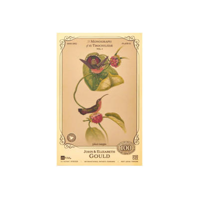 Kolekcja Johna i Elizabeth Gould - Kolibry