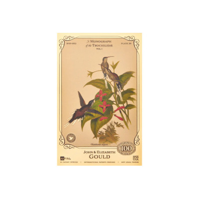 Kolekcja Johna i Elizabeth Gould - Kolibry