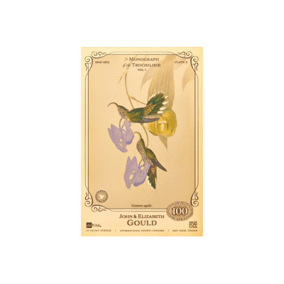 Kolekcja Johna i Elizabeth Gould - Kolibry