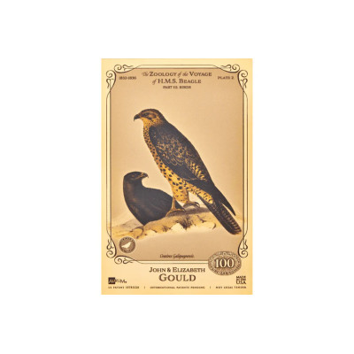 John i Elizabeth Gould Aurum - Kolekcja H.M.S. Beagle