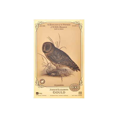John i Elizabeth Gould Aurum - Kolekcja H.M.S. Beagle