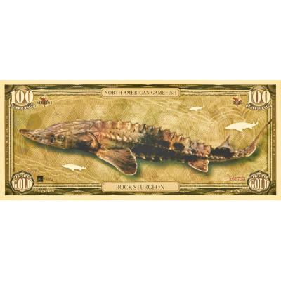 Rock Sturgeon - 24-karatowy złoty banknot - seria I