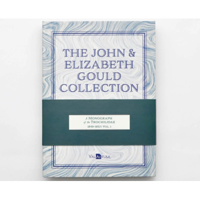 La collezione John ed Elizabeth Gould - Colibrì