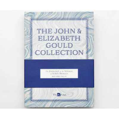 Die John und Elizabeth Gould Aurum - H.M.S. Beagle Sammlung